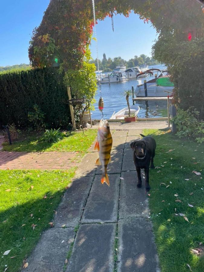Schiffspension Luise Potsdam Dış mekan fotoğraf