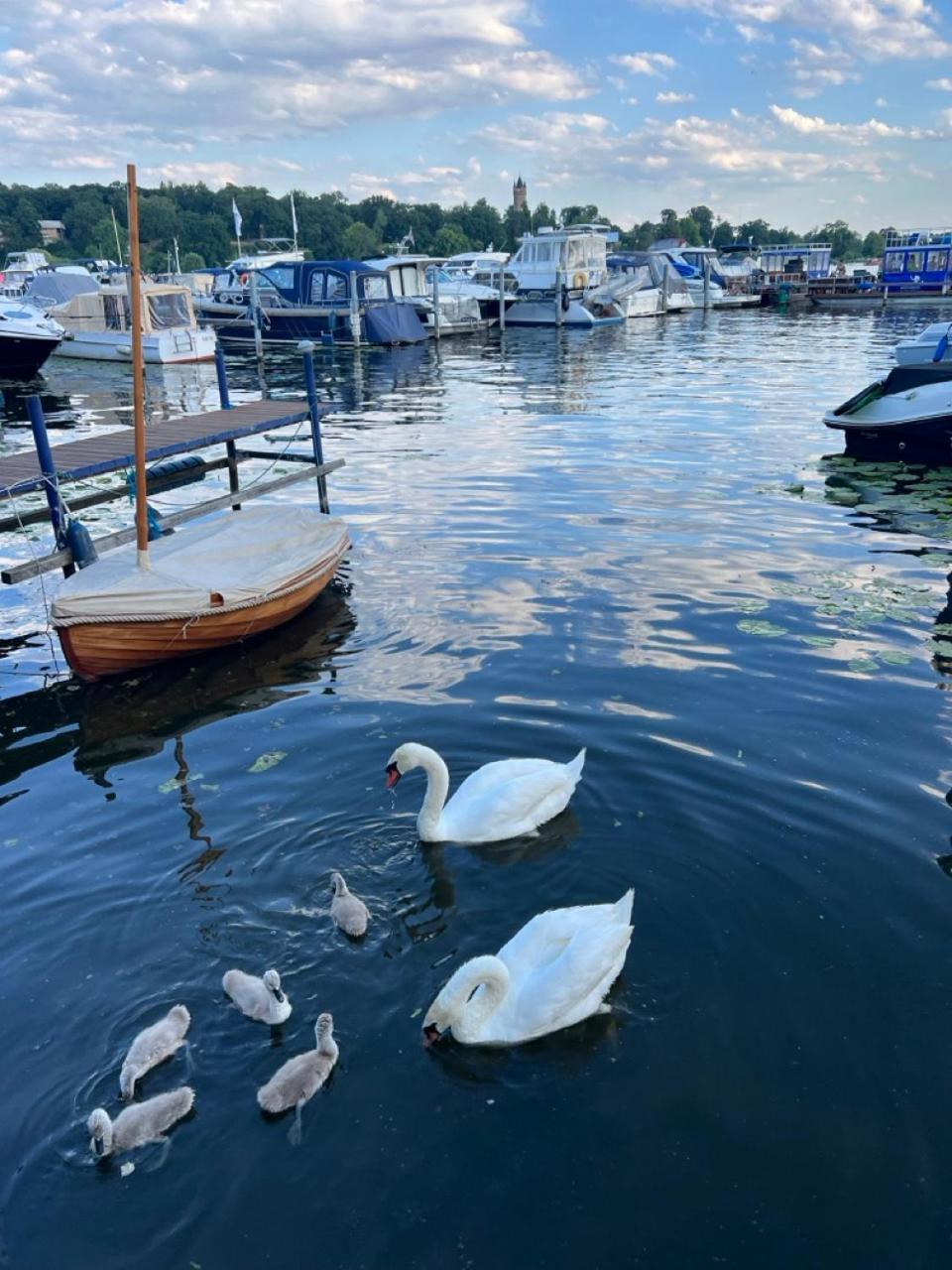Schiffspension Luise Potsdam Dış mekan fotoğraf